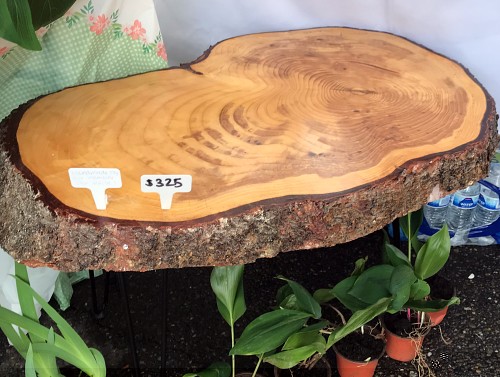 Don Maile contributed his work of art: a live-edge end table. It was the star of the show.